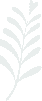 Small Leave